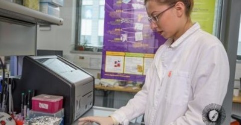 Malé proteinové blokátory lidského IL-6 receptoru zpomalují růst a šíření ...