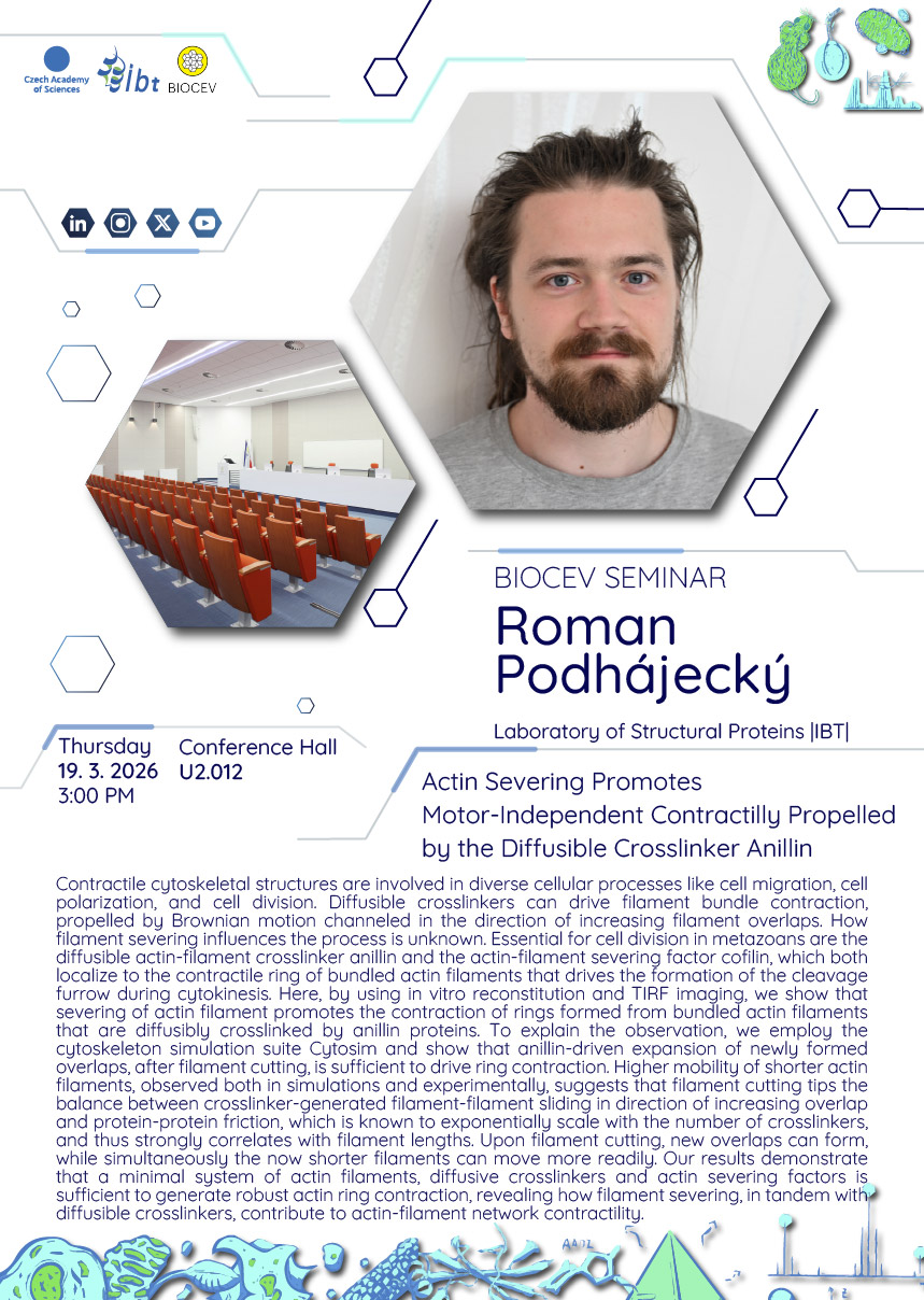 Biocev seminář_Podhajecky