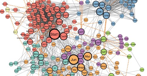 Age-dependent response to stroke characterized in mouse model