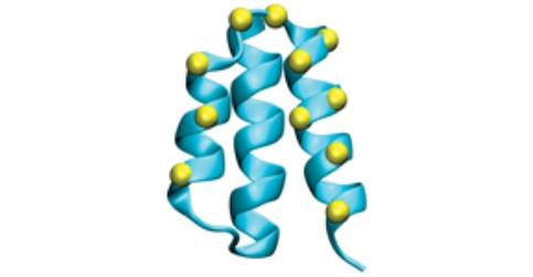 Laboratory of Ligand Engineering