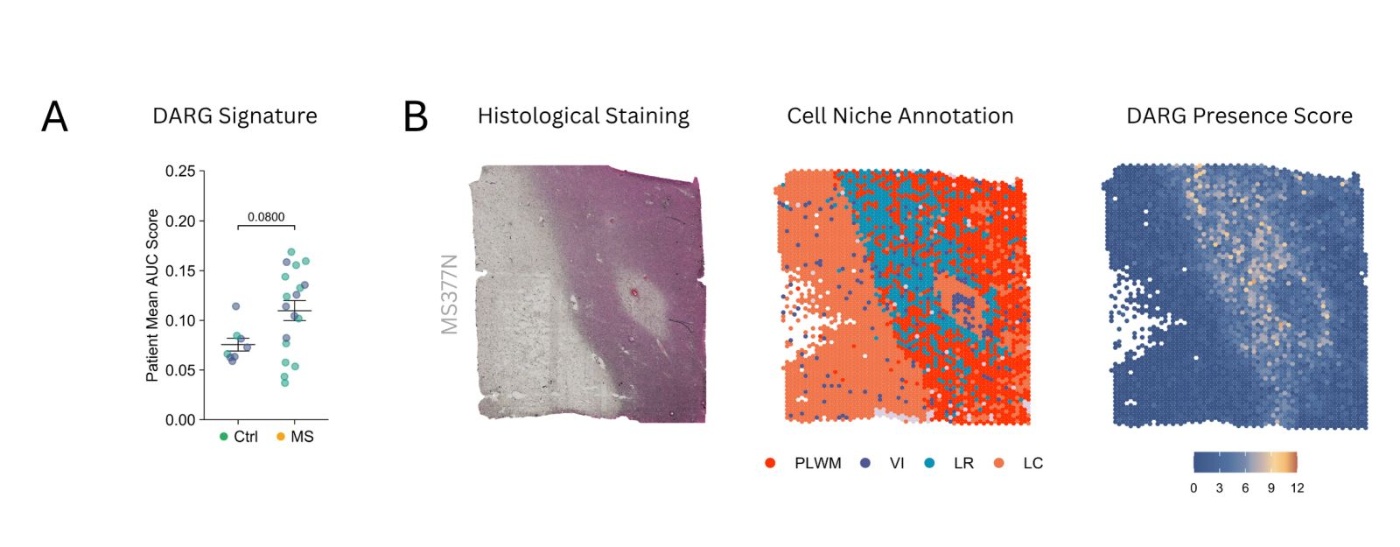 Neuron Tiskova Sprava Neuron Tiskova Sprava