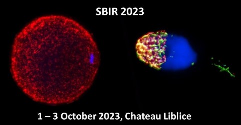 28. ročník Sympozia Biologie a Imunologie Reprodukce