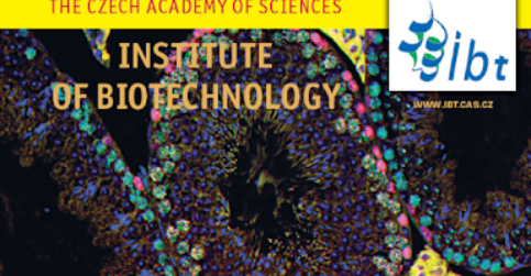 Scientific American 06/2016 - special section about IBT