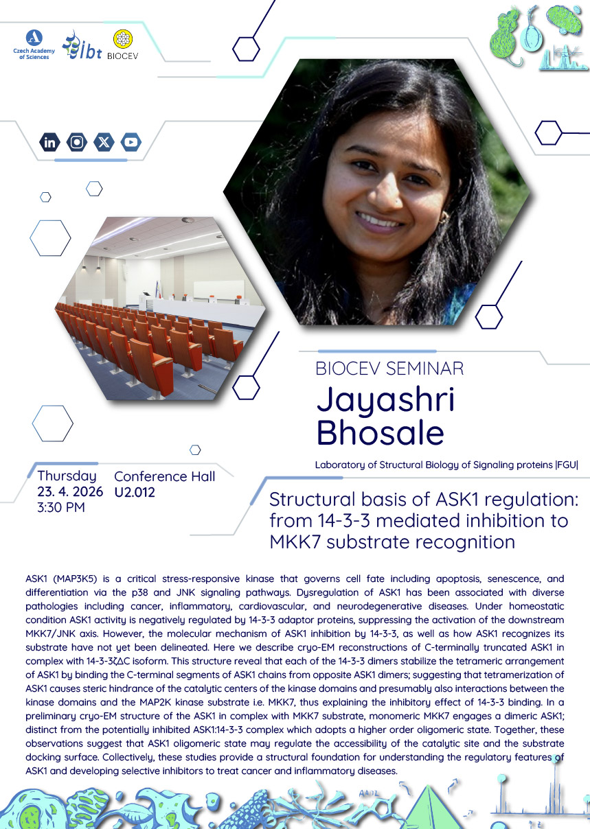 Seminář_Gustavo_Bhosale_PDF-05