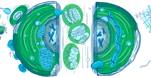 Den otevřených dveří