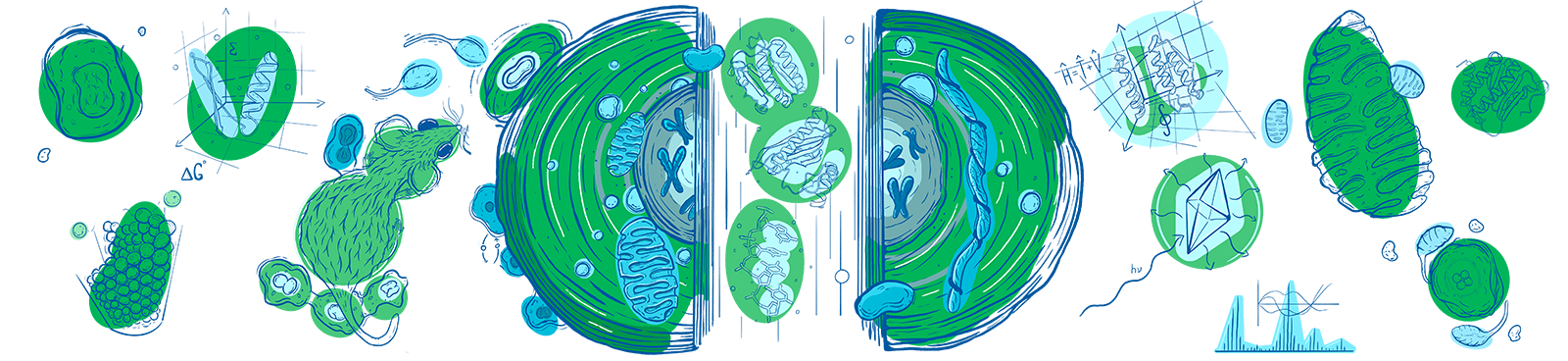Den otevřených dveří