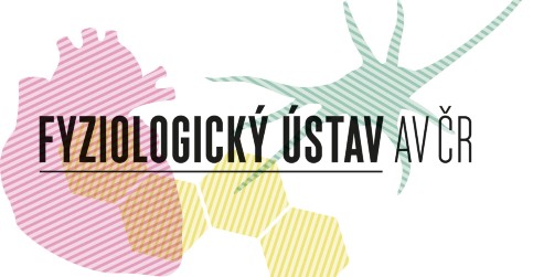 Seminar - Honzejková