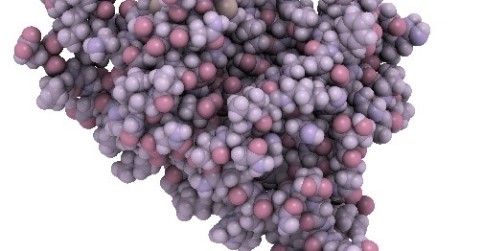 Nové ligandy mohou zamezit nádorovému bujení a metastázování Nové ligandy mohou zamezit nádorovému bujení a metastázování