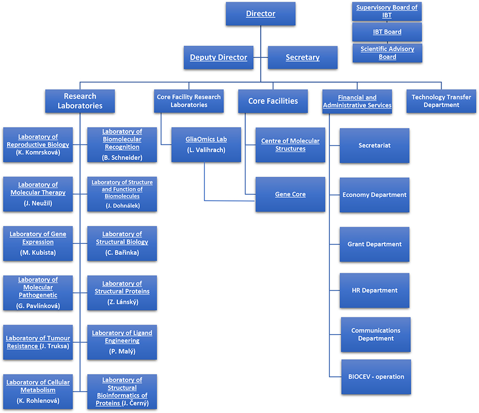 organization-structure