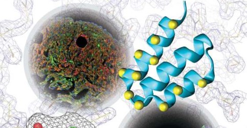 BTÚ Scientific Report 2008/2012