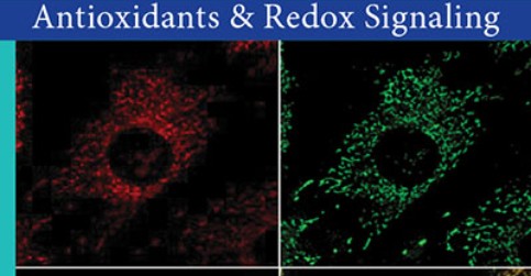 Photography from IBT on ARS cover Photography from IBT on ARS cover